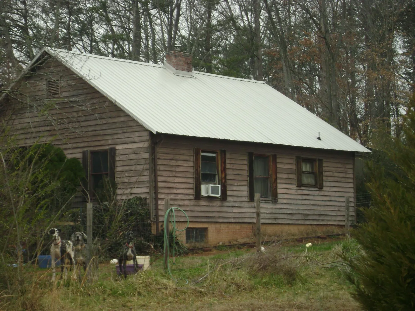 White metal roof on an old wood sided farmhouse, from a Asphalt Shingle Roof Repair job in Tumtum